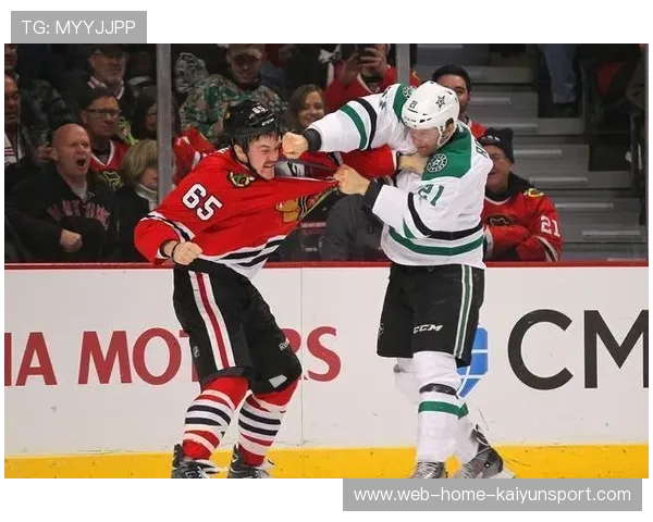 冰球选手互殴四分钟，裁判竟在旁观看